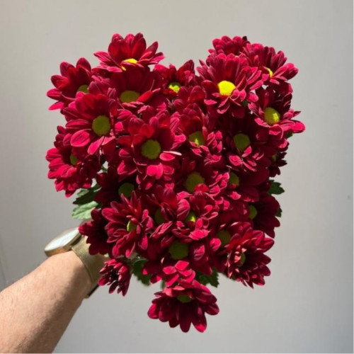 دسته گل داوودی بابونه‌ ای قرمز | بی بی گل